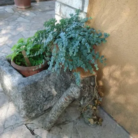 Kostela Zadvarje
