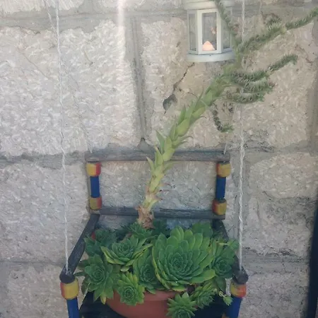 Apartment Kostela